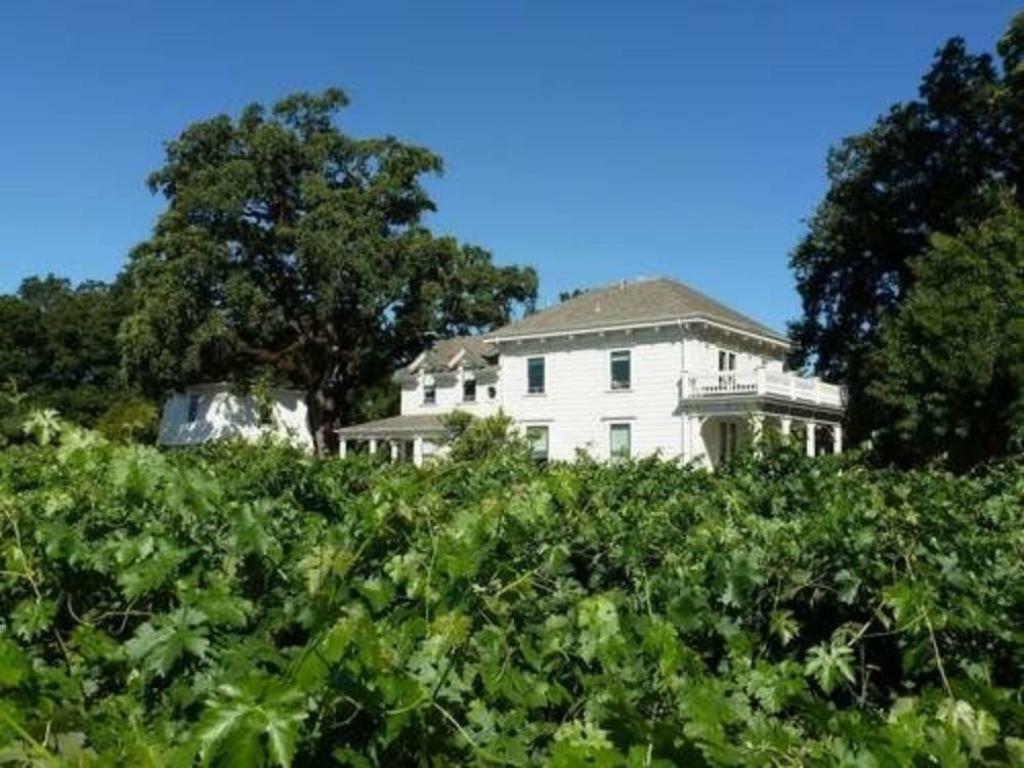 Inn At Salvestrin St. Helena Exterior foto